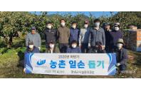 창녕군시설관리공단 단감 수확 일손돕기