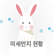 미세먼지 현황