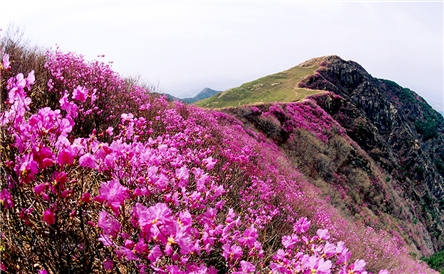 화왕산성 전경